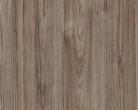 dt6 pecan medio grig