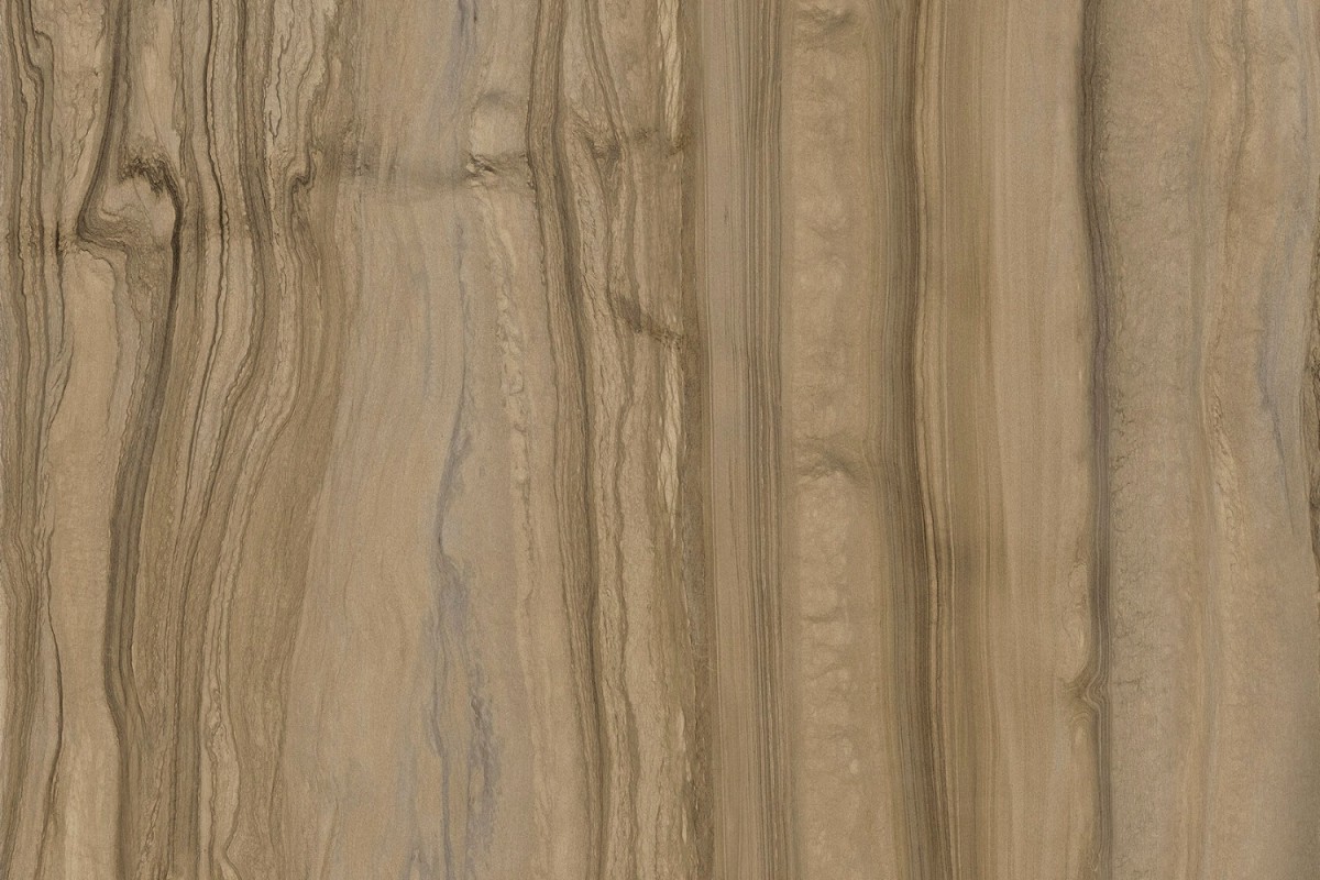 dz3 fossil wood dz3 fossil wood