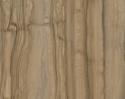 dz3 fossil wood