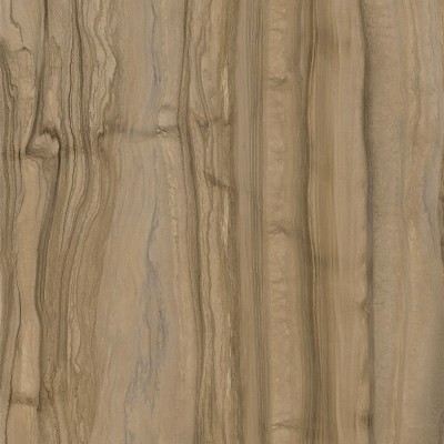 dz3 fossil wood dz3 fossil wood