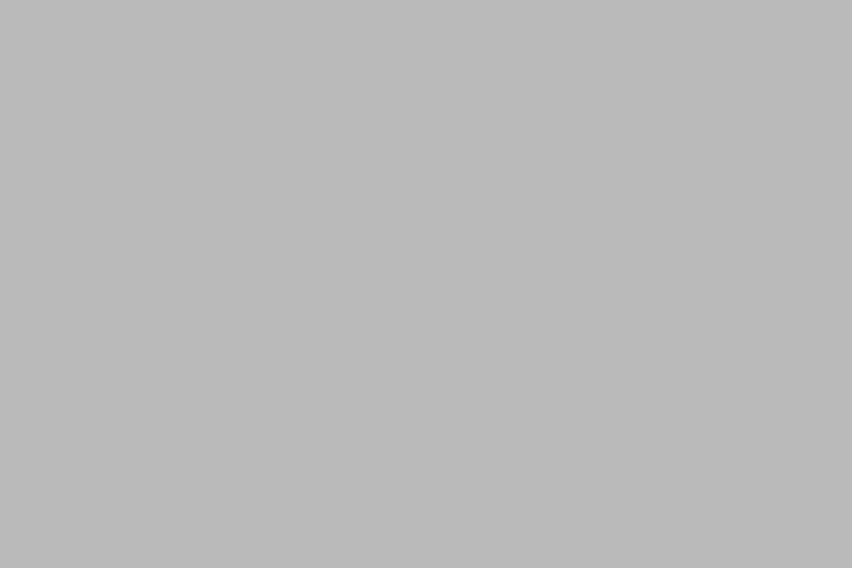 grey fenix3d grey fenix3d